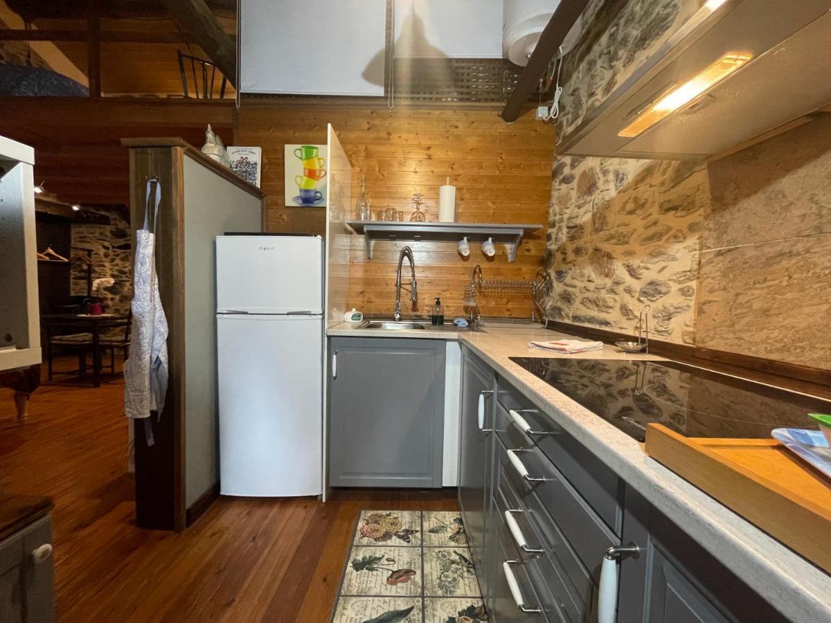 Apartamento Felicitas En La Casa De Cobos, Ribeira Sacra Puebla Del Brollon Eksteriør billede